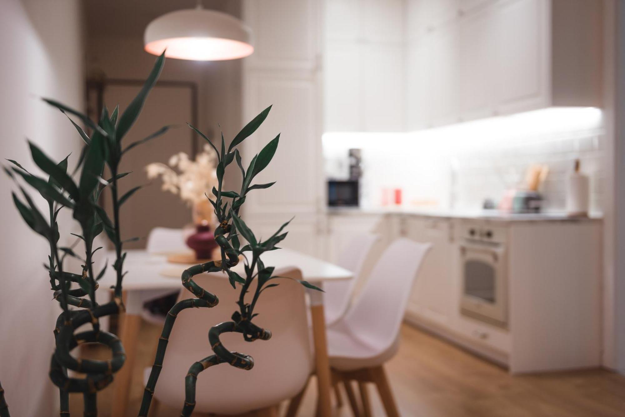 Tam Skanderbeg Square Serviced City Center Apartment No1 Tirana Buitenkant foto